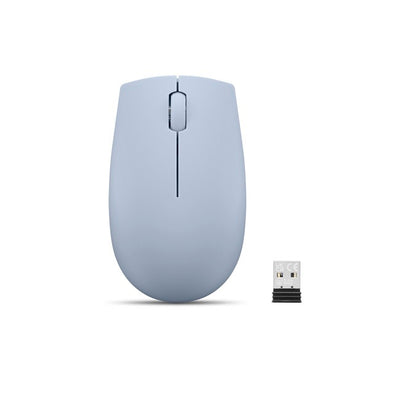 Lenovo PCG GY51L15679 — კლავიატურა და მაუსი