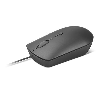 Lenovo PCG GY51D20876 — კლავიატურა და მაუსი