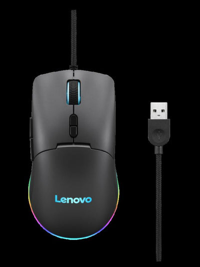 Lenovo PCG GY51M74265 — კლავიატურა და მაუსი