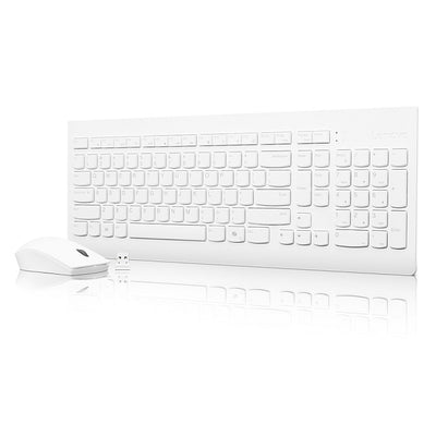 Lenovo PCG GX31F38001 — კლავიატურა და მაუსი