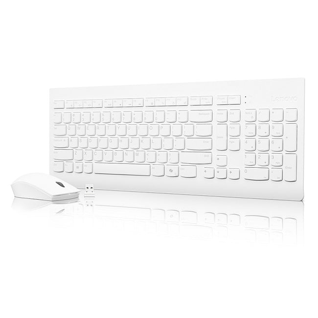 Lenovo PCG GX31F38001 — კლავიატურა და მაუსი