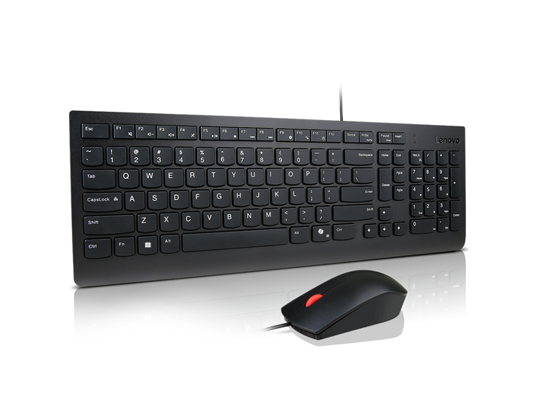 Lenovo PCG 4X31R64400 — კლავიატურა და მაუსი
