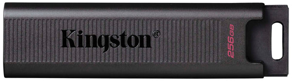 Kingston 256GB USB 3.2 Type-C Gen 2 DT Max