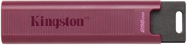 Kingston 256GB USB 3.2 Type-A Gen 2 DT Max