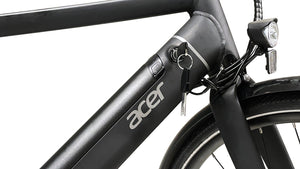 Acer ebii